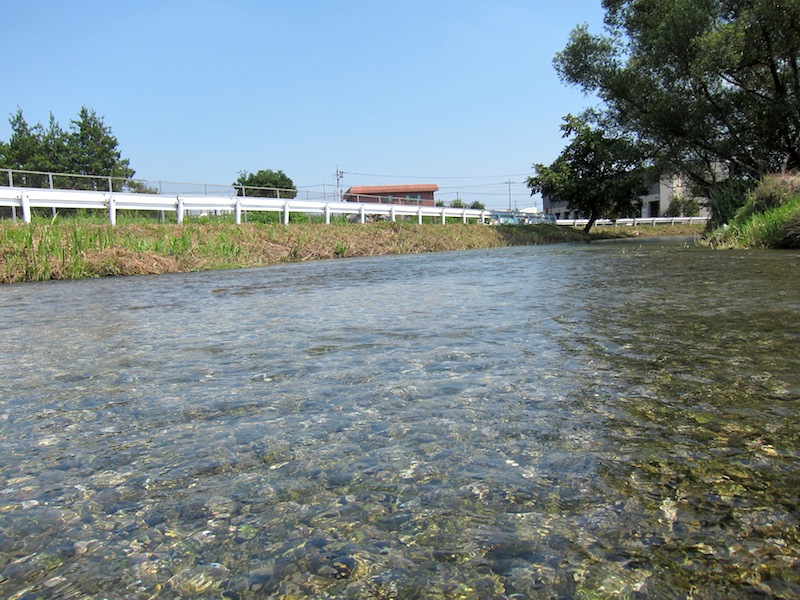 菊水苑のかき氷と菊沢川_f0138807_20282811.jpg