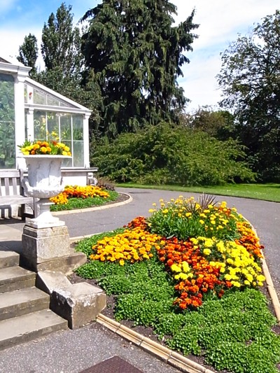 ロンドン旅日記<6>さすがは世界遺産の植物園！キューガーデンズ前半２_b0151911_016339.jpg