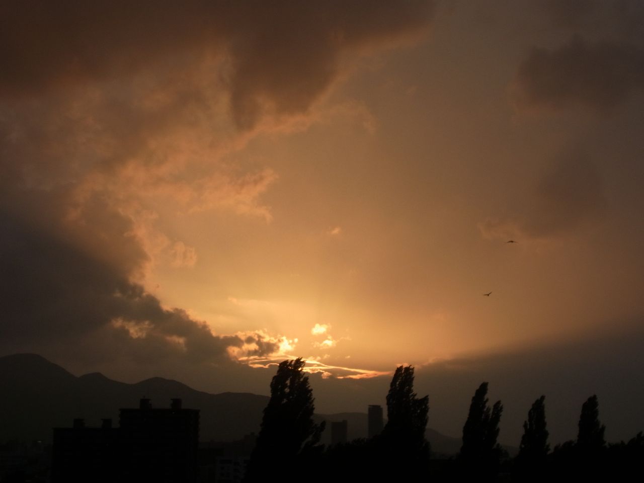 【今日の一枚】6日連続真夏日の夕暮れ_c0025115_19191135.jpg