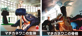 キャンプだキャンプ!_a0164918_11321632.jpg