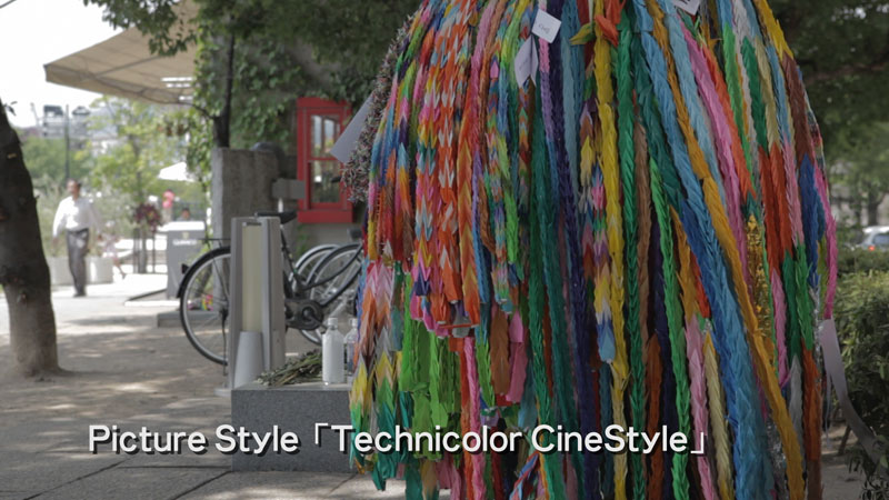 Technicolor社が開発した「CineStyle」ピクチャースタイルが良いらしい。_c0064025_2201558.jpg