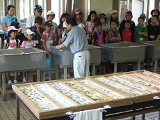 越前里地里山チャレンジ隊Vol.1_e0061225_14251684.jpg