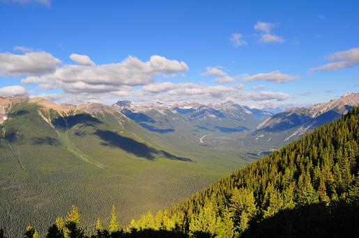 f0111926_12264264.jpg