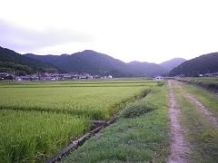 b0207536_11135051.jpg