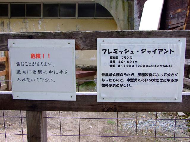 みみちゃん再び_a0179837_2041589.jpg