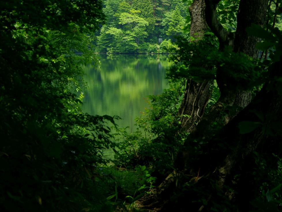 d0237340_6425321.jpg