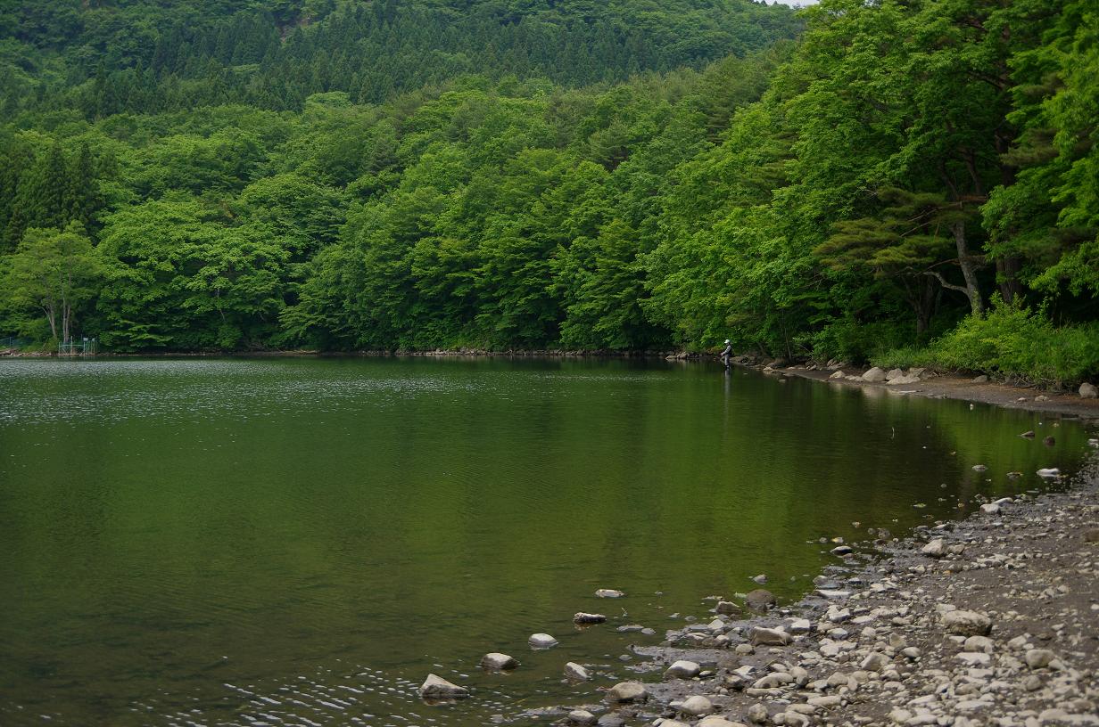d0237340_944997.jpg