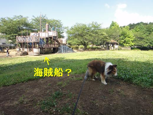 引越し半月~ダイジェスト版~_e0195743_1564056.jpg