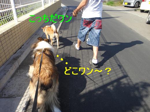 引越し半月~ダイジェスト版~_e0195743_1571318.jpg