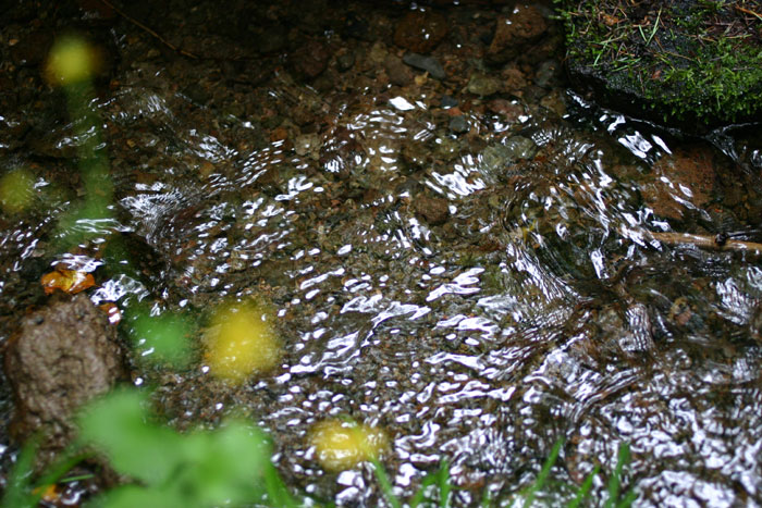 b0067346_0434145.jpg