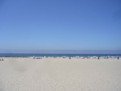 f0041447_3135856.jpg