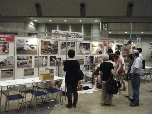 『癒しフェア２０１１in東京』へ参加しました。_b0214851_2214313.jpg