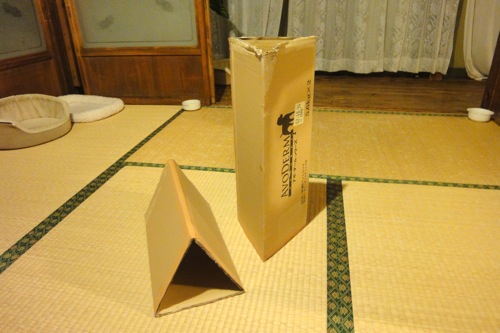 f0054859_1081081.jpg