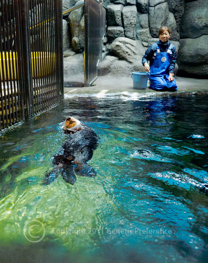 須磨海浜水族園 Vol.8_a0111162_1953554.jpg