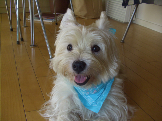 破壊王だいじょうぶか?_b0107163_0115693.jpg