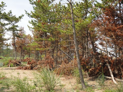 f0195963_84687.jpg