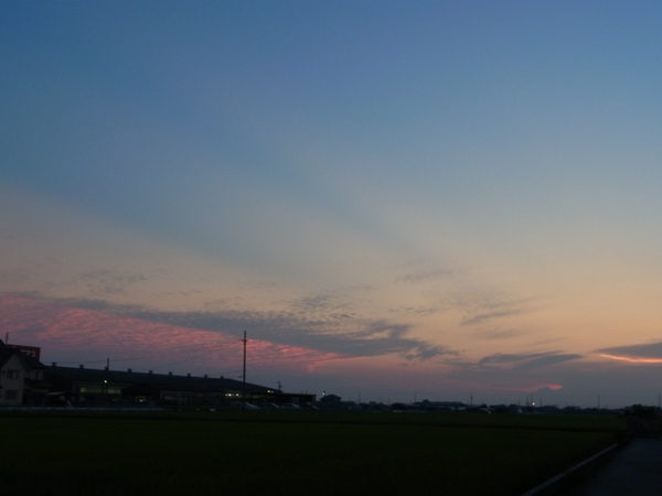 b0194267_19432065.jpg