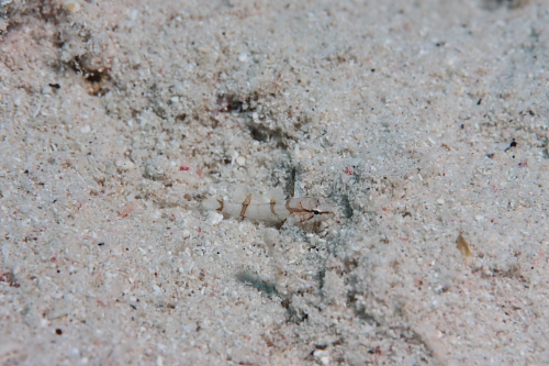 d0114375_014266.jpg
