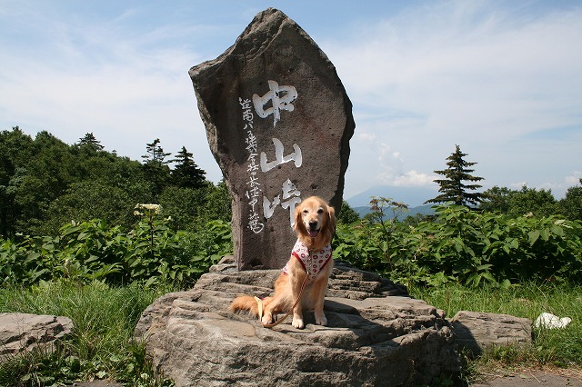 北海道 Ⅰ_c0172184_1933672.jpg