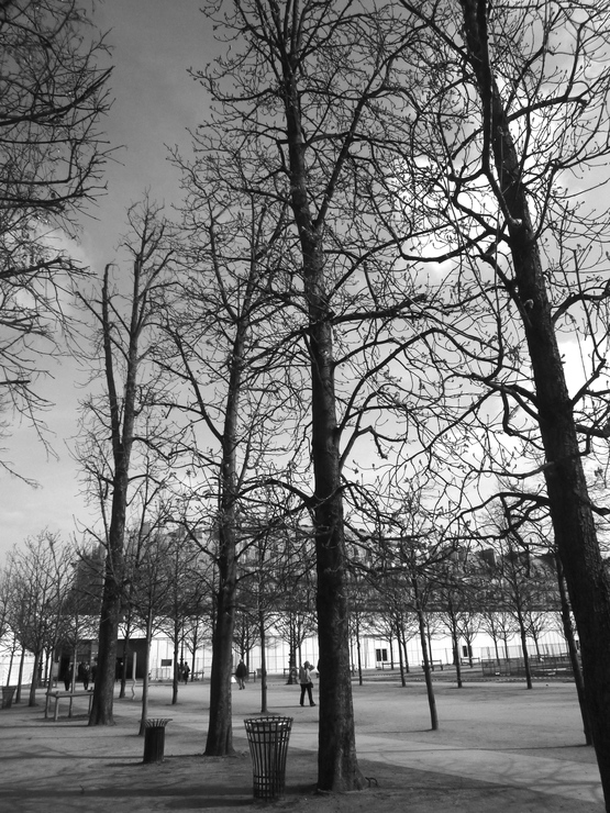 A notre façon のお知らせ_a0225587_1733370.jpg