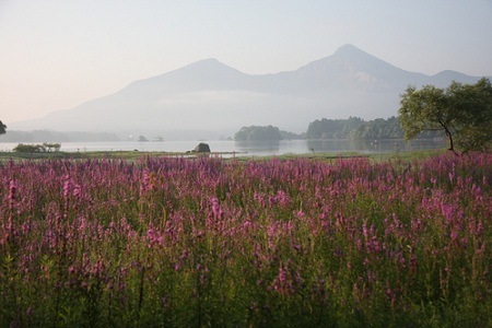 f0222587_014570.jpg