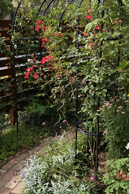 a0123003_10535472.jpg