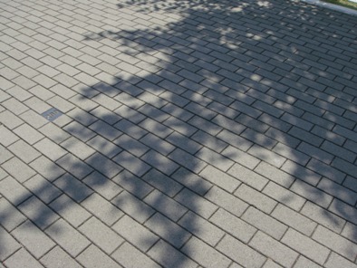 a0167803_182149.jpg