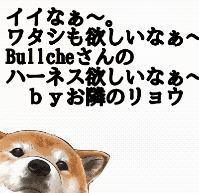 a0158613_2391056.gif
