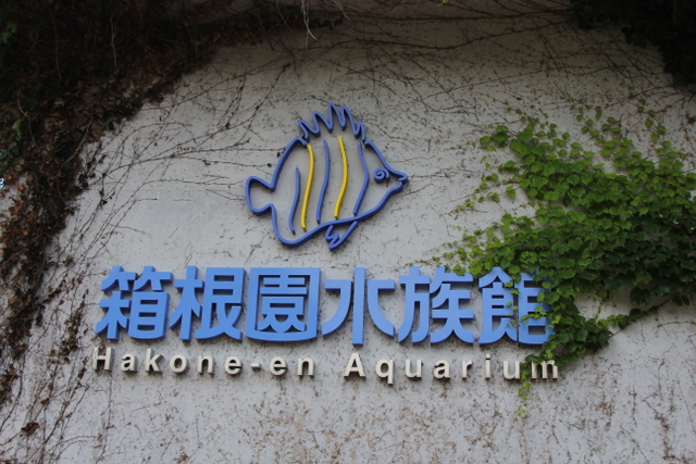 2011/07/05箱根園水族館その1_f0221023_1333584.jpg