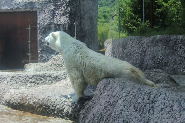 2011/07/09とくしま動物園その2_f0221023_2315362.jpg