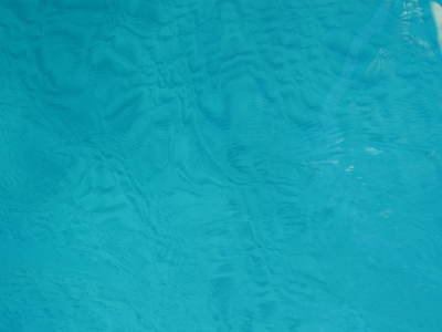 d0161826_19253853.jpg
