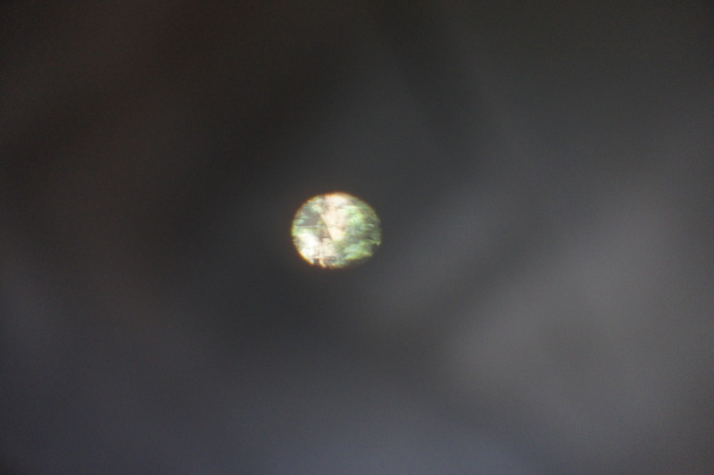 a0217029_17285427.jpg