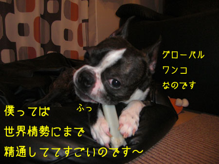 a0190132_2374037.jpg