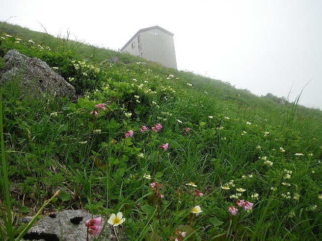 以東小屋日記(8/5～10)_f0118332_2021375.jpg