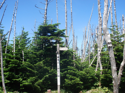 d0055236_14193369.jpg