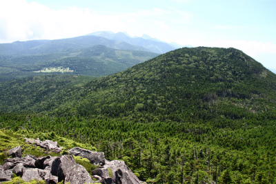 d0055236_14204085.jpg