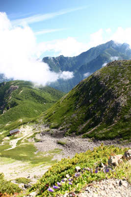 d0055236_14434757.jpg