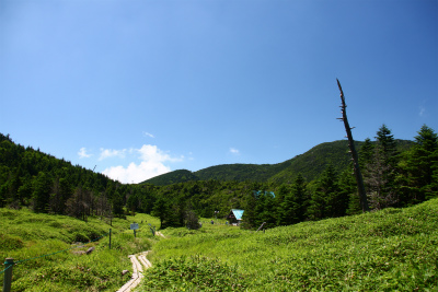 d0055236_14484065.jpg