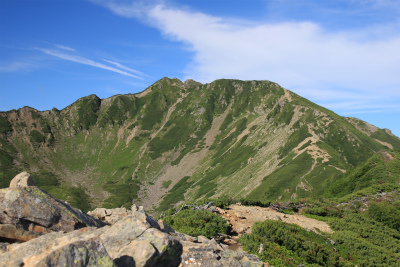 d0055236_1525160.jpg