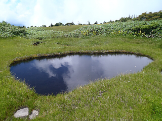 2011年08月10日（水）～11日（木）：苗場山_b0032437_1843373.jpg