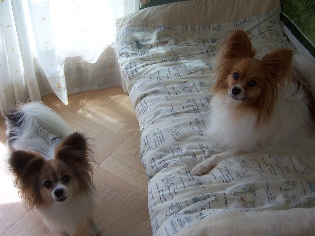 c0048940_22121561.jpg
