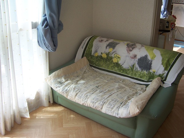 c0048940_2282656.jpg