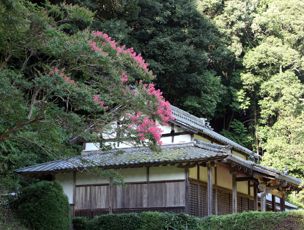 宇陀市　宮奥　東福寺　百日紅_c0108146_21122289.jpg