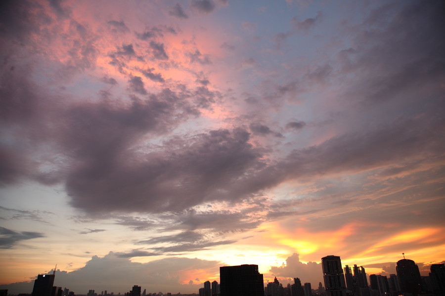 a0094850_13491635.jpg