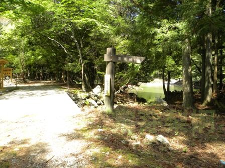 池の谷池(三重県多気郡大台町)　2011年5月14日_e0178757_21431466.jpg