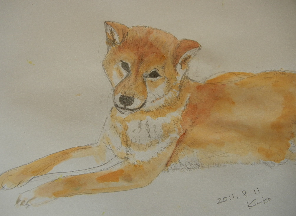 2011年8月11日(木)暑い日は家にいるのが一番!_f0060461_10224888.jpg