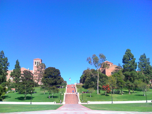 c0121264_16465047.jpg
