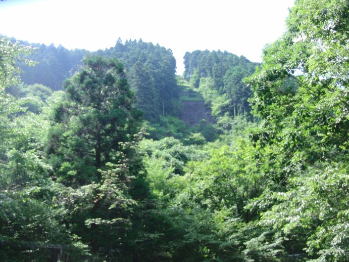 c0199365_2161569.jpg