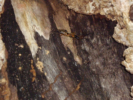 b0178466_1746268.jpg