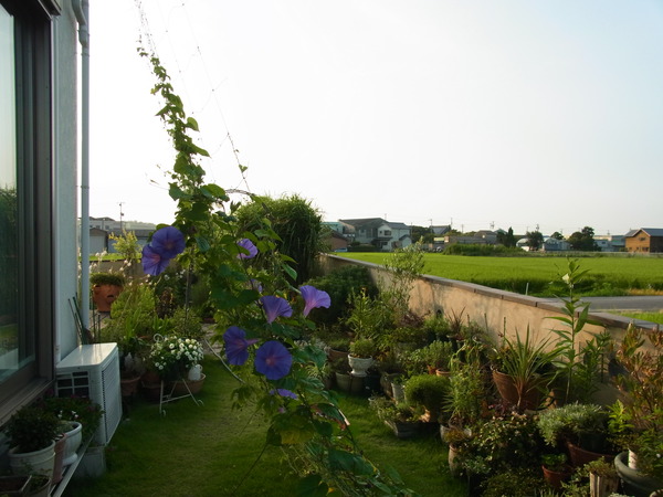 b0194267_2073878.jpg
